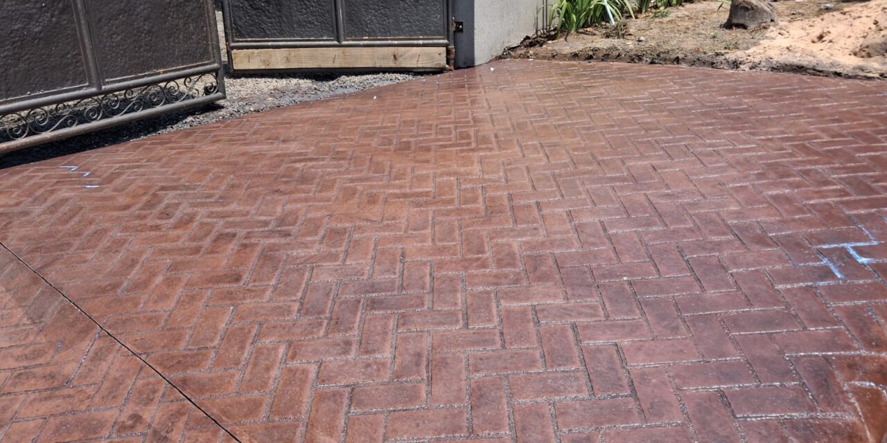 WhatsApp Image 2026-02-04 at 14.11.56