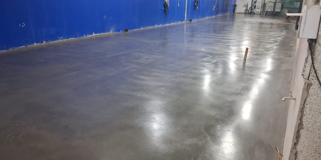 WhatsApp Image 2026-02-04 at 14.29.12